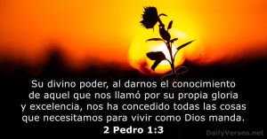 67775668-fa80-4a39-8b24-30addf3a28a7-300x157-1 Naturaleza Divina